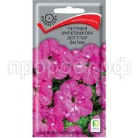 С146436_1 С146436_1