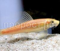 НоменклатураПрисоединенныеФайлы НоменклатураПрисоединенныеФайлы