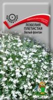 Лобелия плетистая Белый фонтан