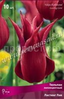 Тюльпан Лилиецветный Ластинг Лав (тёмно-красный, 10шт, 11-12) 673675 Тюльпан Лилиецветный Ластинг Лав (тёмно-красный, 10шт, 11-12) 673675