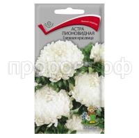 Астра-пионовидная-Снежная-красавица-0,3г-Поиск