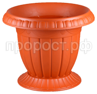 Валенсия террак