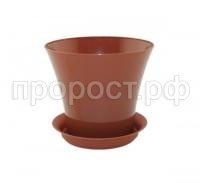 сити террак