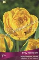 Йеллоу Помпонетт Йеллоу Помпонетт