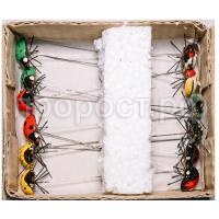 божкоровка божкоровка