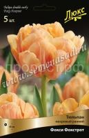 Тюльпан Махровый ранний Фокси Фокстрот (жёлто-оранжевый, 10шт, 11-12) 725014 Тюльпан Махровый ранний Фокси Фокстрот (жёлто-оранжевый, 10шт, 11-12) 725014