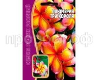 плюмерия три короля плюмерия три короля