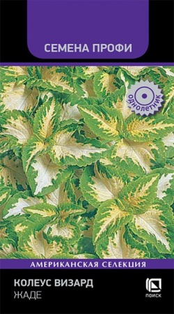Поиск Колеус Визард Жаде 10шт  Поиск Колеус Визард Жаде 10шт