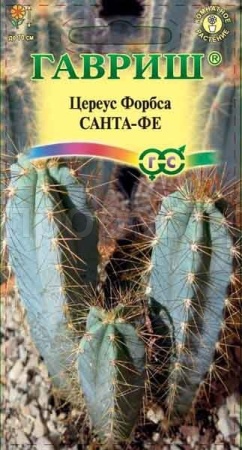 Цереус Форбса Санта-Фе 4шт
