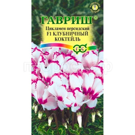 Гавриш Цикламен персидский Клубничный коктель ароматный 3шт Гавриш Цикламен персидский Клубничный коктель ароматный 3шт
