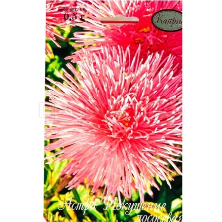 Астра Искушение лососевая 20*1 