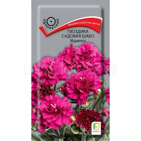 Поиск Гвоздика садовая Шабо Маджента 0,1г  Поиск Гвоздика садовая Шабо Маджента 0,1г