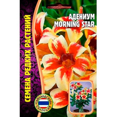 Адениум MORNING STAR 3шт Адениум MORNING STAR 3шт