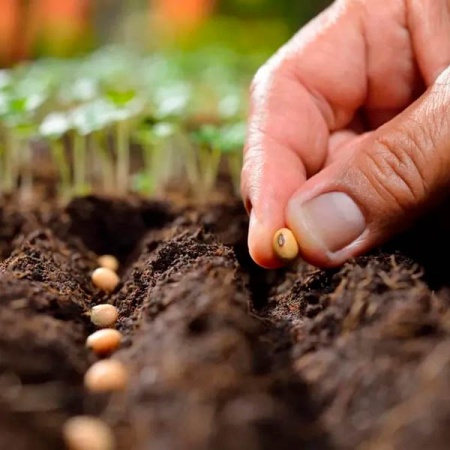 Грунт Фаско Универсальный 10л 5шт