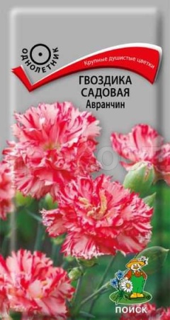 Гвоздика садовая Авранчин 0,1г