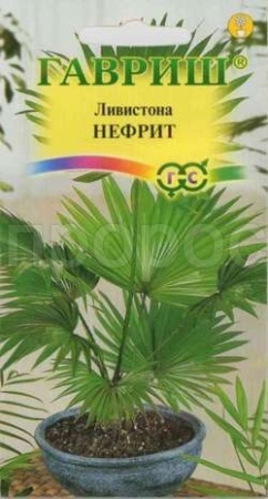 Ливистона китайская Нефрит 3шт 