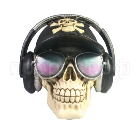 Веселый Роджер (черный) 718143/SK196 Веселый Роджер (черный) 718143/SK196