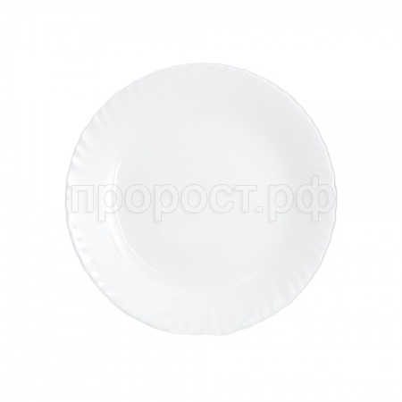 Тарелка обеденная ФЭСТОН 25см.