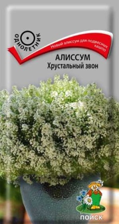 Алиссум Хрустальный звон 20шт