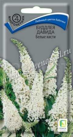 Буддлея Давида Белые кисти 0,01гр