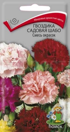 Гвоздика садовая Шабо Смесь 0,3г