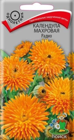 Календула Радио 1гр 