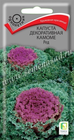 Капуста декоративная Камоме Ред 10шт