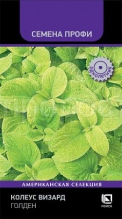 Поиск Колеус Визард Голден 10шт  Поиск Колеус Визард Голден 10шт