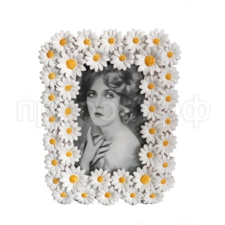 Рамка для фотографий Ромашки 20*15см 718485/R001