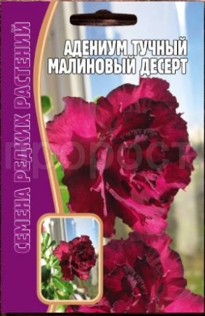 Адениум Малиновый Десерт 3 шт Адениум Малиновый Десерт 3 шт