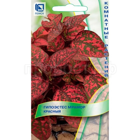 Поиск Гипоэстес Мрамор красный 7шт  Поиск Гипоэстес Мрамор красный 7шт