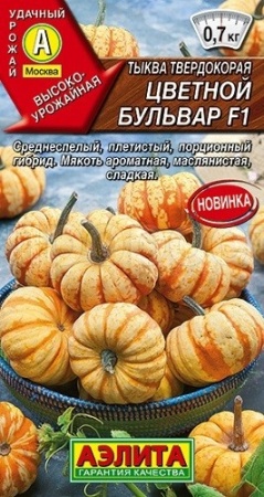 Тыква твердокорая Цветной бульвар F1 5шт Аэлита Тыква твердокорая Цветной бульвар F1 5шт Аэлита