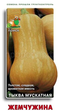 Тыква мускатная Жемчужина 10шт 