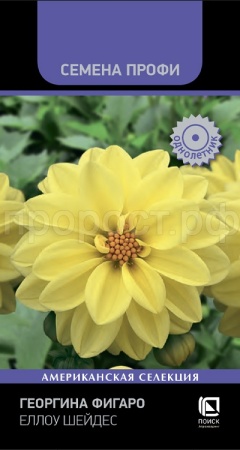 Георгина Фигаро Еллоу Шейдес 10шт Георгина Фигаро Еллоу Шейдес 10шт