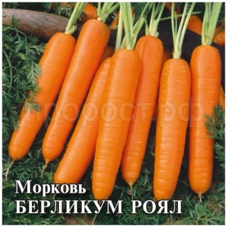 Морковь Берликум Роял 25 г