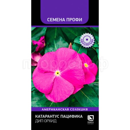 Катарантус Пацифика Дип Орхид 10шт Катарантус Пацифика Дип Орхид 10шт