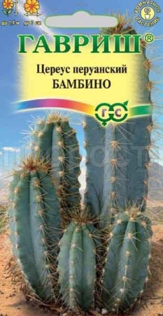 Цереус перуанский Бамбино 4шт