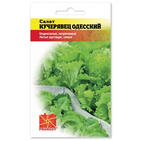 Салат Кучерявец Одесский 1г