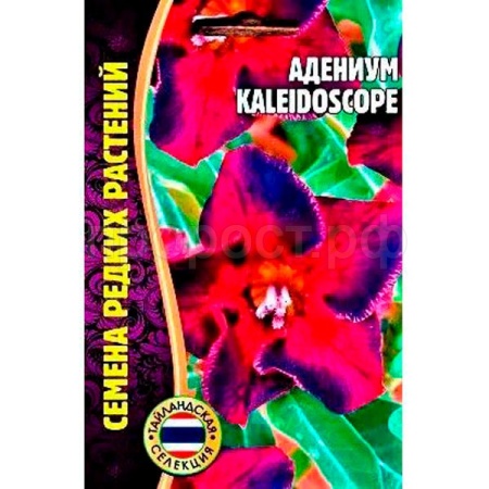 Адениум KALEIDOSCOPE 3шт Адениум KALEIDOSCOPE 3шт