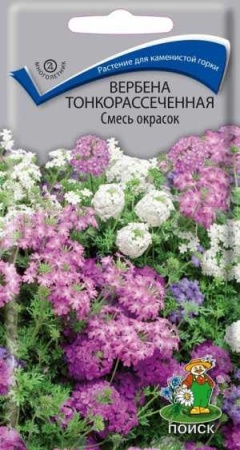 Вербена тонкорассеченная Смесь окрасок 0,02гр