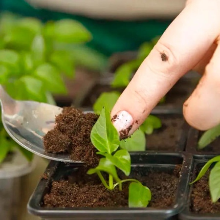 Грунт TERRA VITA Живая Земля Петуния-виола-настурция 5л Грунт TERRA VITA Живая Земля Петуния-виола-настурция 5л