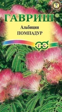 Альбиция Помпадур 3шт 