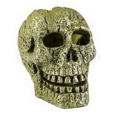 Грот Glofish Череп светящийся 8*5*9см/19623