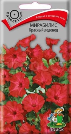 Мирабилис Красный леденец 1г Мирабилис Красный леденец 1г