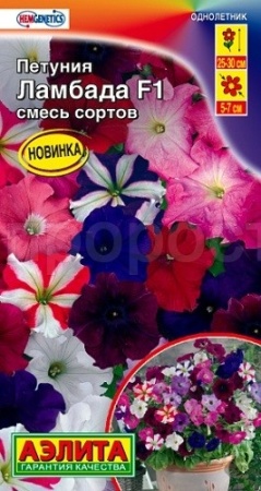 Петуния Ламбада F1  многоцветковая смесь окрасок 7шт 