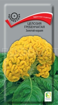 Целозия гребенчатая Золотой коралл 0,05гр Целозия гребенчатая Золотой коралл 0,05гр