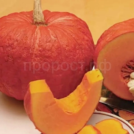 Тыква крупноплодная Конфетка 10шт