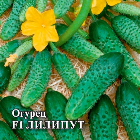 Гавриш Огурец Лилипут F1 100шт 