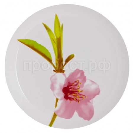 Тарелка суповая 20см УОТЕР КОЛОР 