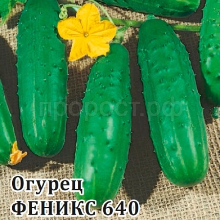 Огурец Феникс 25 г